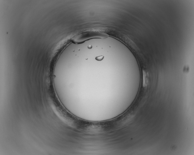 X0000113010252200909171436