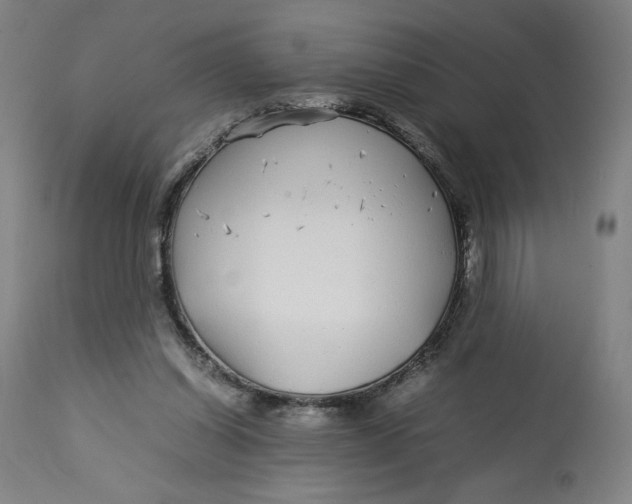 X0000113010254200909171436