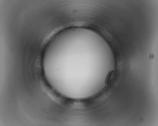 X0000113010256200909171436