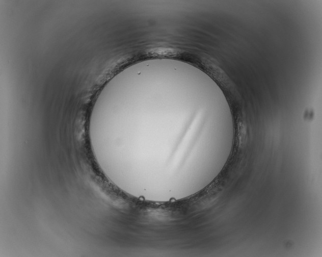 X0000113010259200909171436