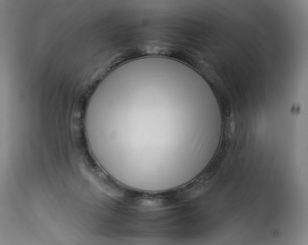 X0000113010263200909171436