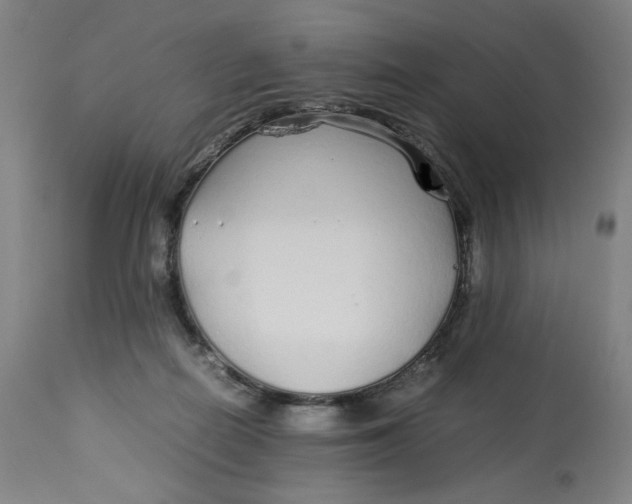 X0000113010266200909171436