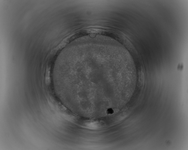 X0000113010267200909171436