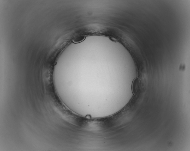 X0000113010268200909171436