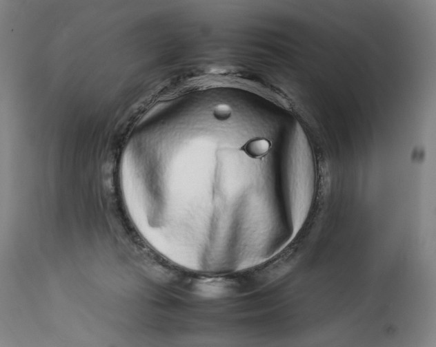 X0000113010269200909171436