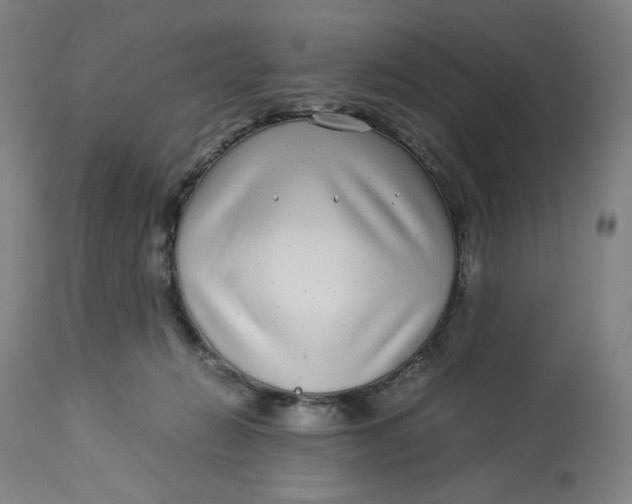 X0000113010270200909171436