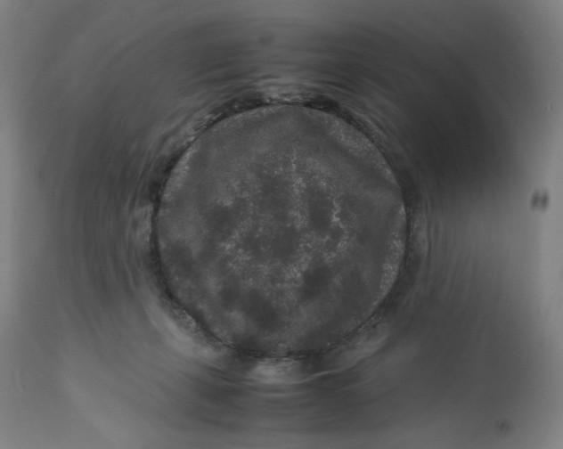 X0000113010271200909171437