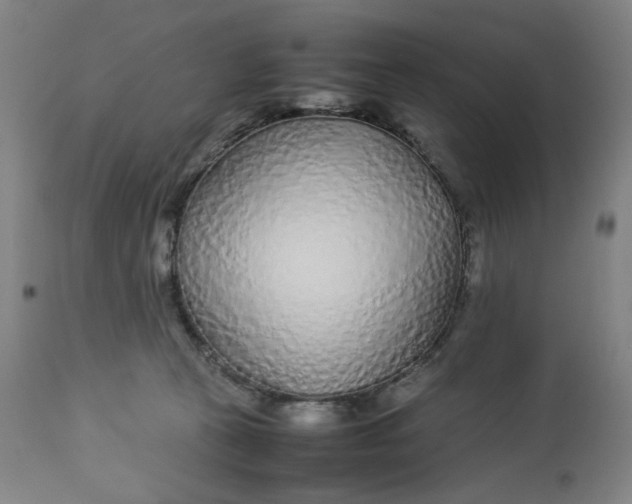 X0000113010273200909171437