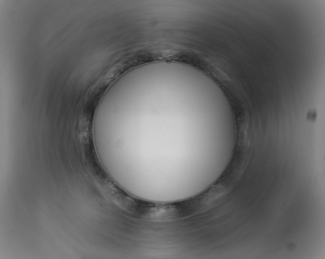 X0000113010274200909171437