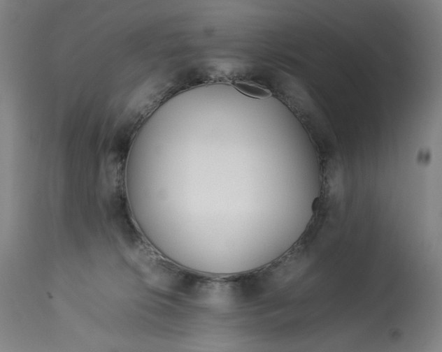 X0000113010276200909171437