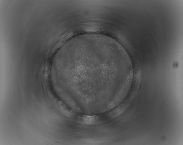 X0000113010277200909171437