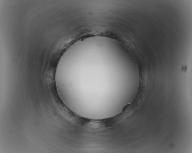 X0000113010280200909171437