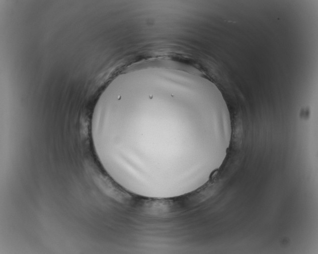 X0000113010282200909171437