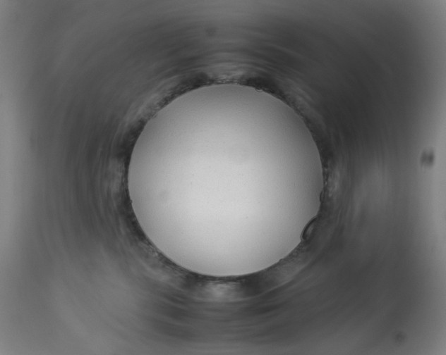 X0000113010283200909171437