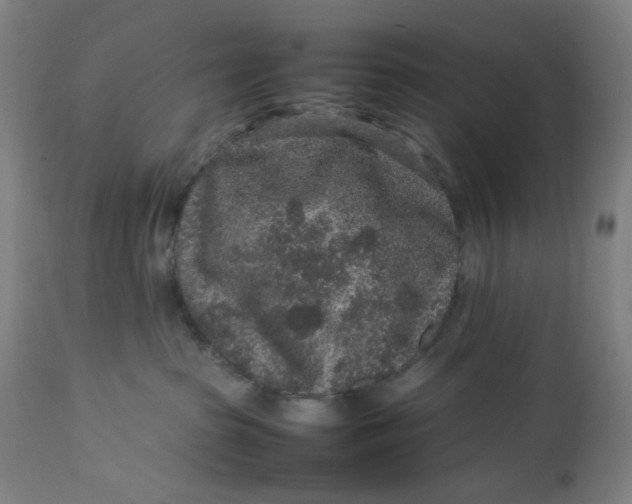 X0000113010285200909171437