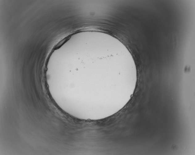 X0000113010289200909171436