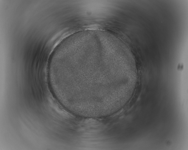 X0000113010290200909171436