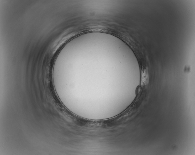 X0000113010291200909171436