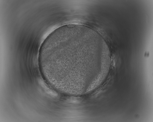 X0000113010292200909171436