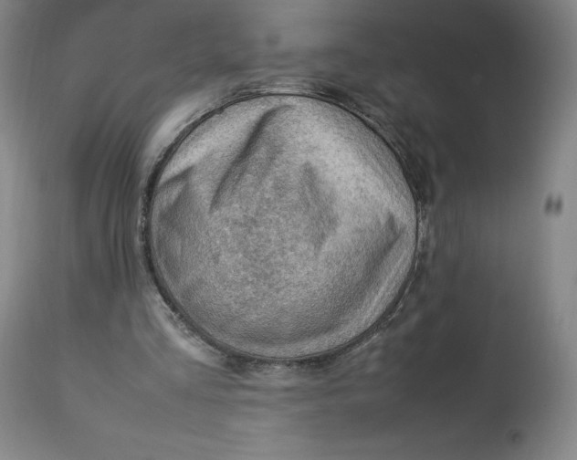 X0000113010293200909171436