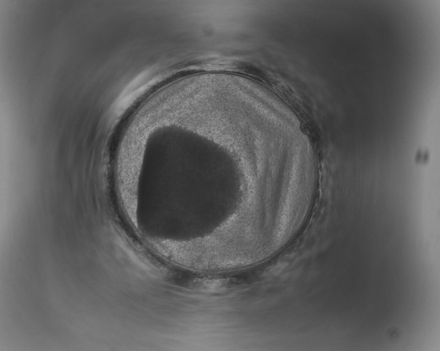 X0000113010295200909171436