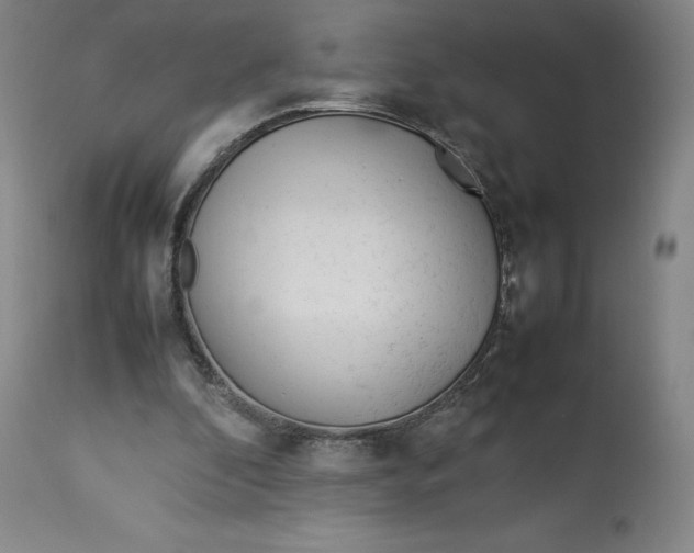 X0000113010296200909171436