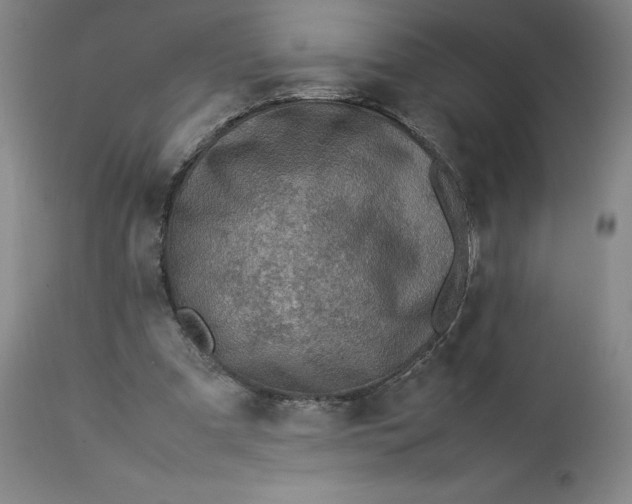 X0000113010297200909171436