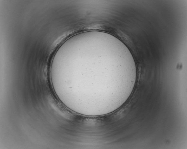 X0000113010298200909171436