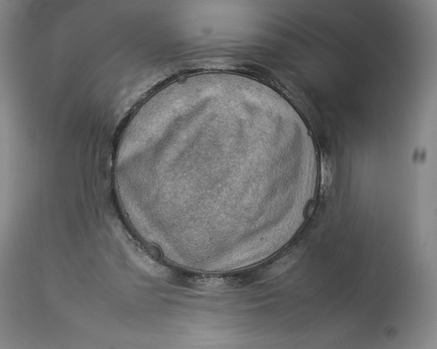 X0000113010301200909171436