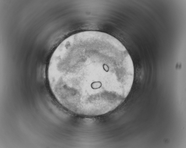 X0000113010302200909171436