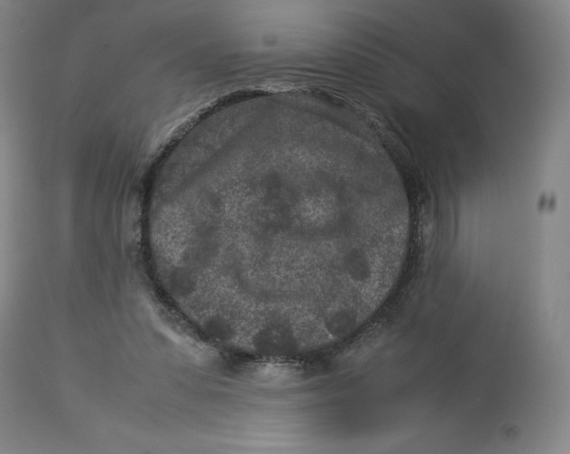 X0000113010303200909171436