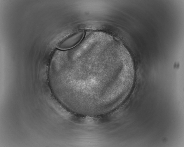 X0000113010305200909171436