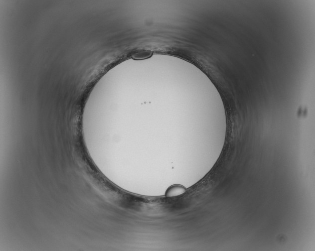 X0000113010309200909171436