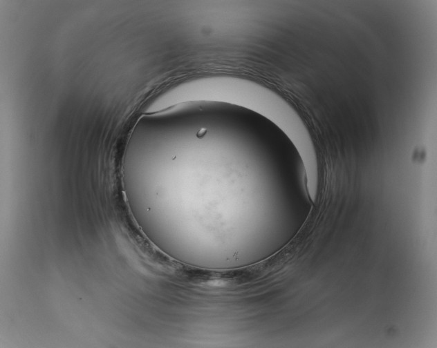 X0000113010312200909171436