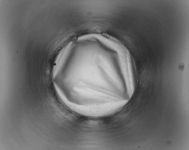 X0000113010314200909171436