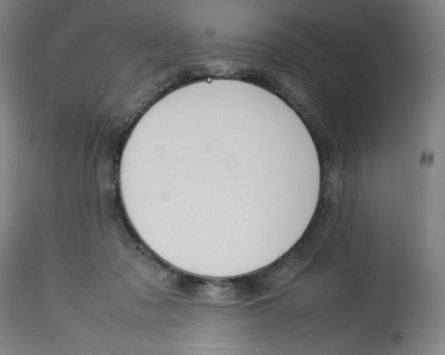 X0000113010317200909171436