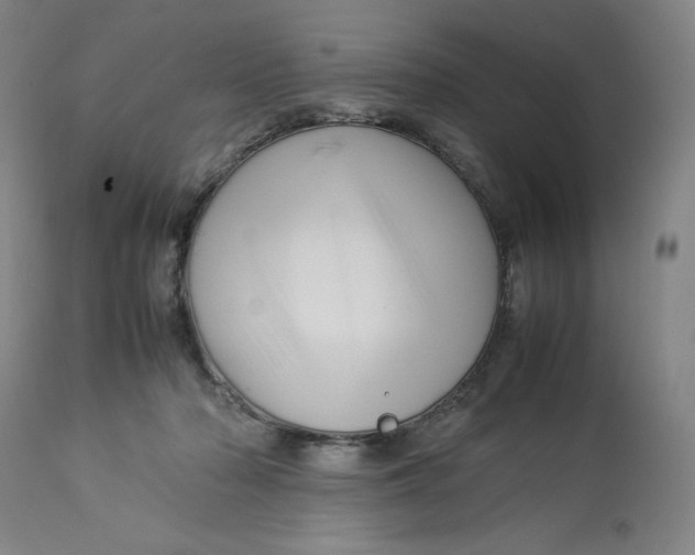 X0000113010318200909171436