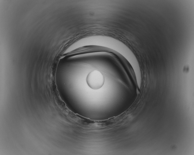 X0000113010320200909171436