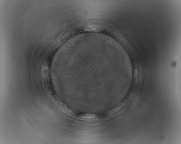 X0000113010322200909171436