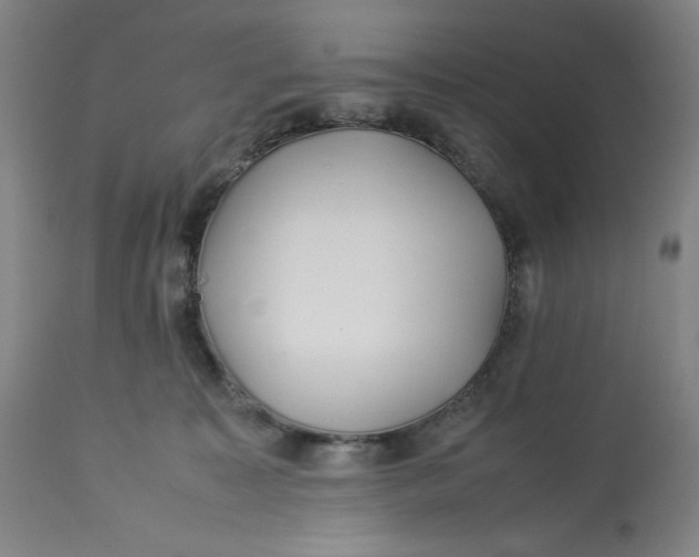 X0000113010323200909171436