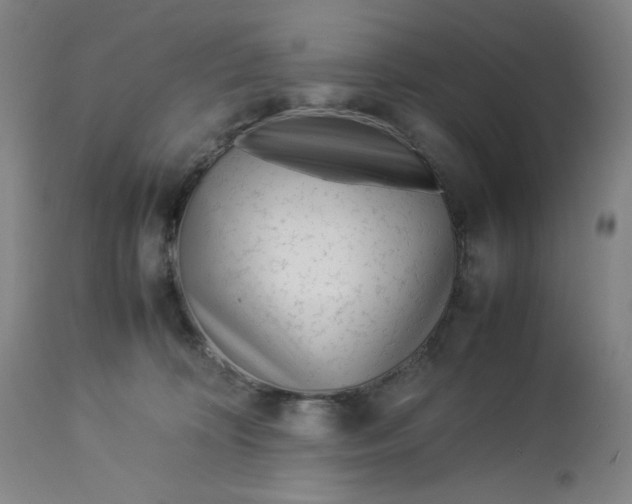 X0000113010324200909171436