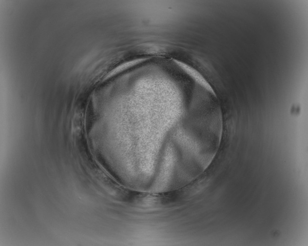 X0000113010325200909171436