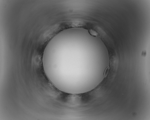 X0000113010327200909171436