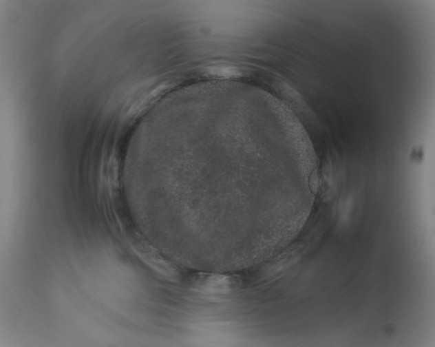 X0000113010330200909171436