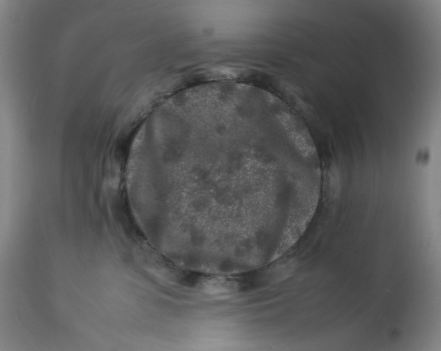 X0000113010331200909171435