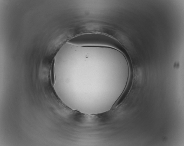 X0000113010333200909171435