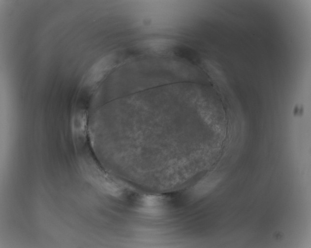 X0000113010336200909171435