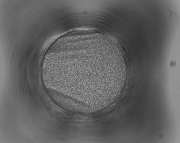 X0000113010337200909171435