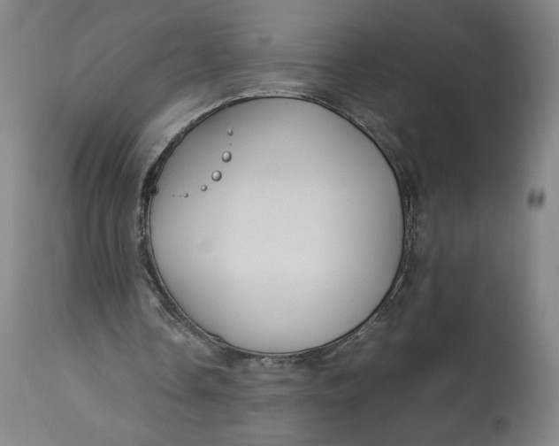 X0000113010338200909171435