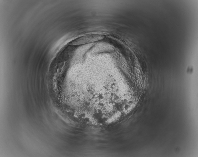 X0000113010339200909171435